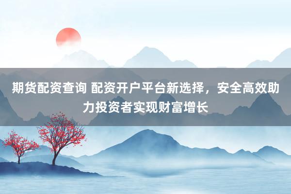 期货配资查询 配资开户平台新选择，安全高效助力投资者实现财富增长
