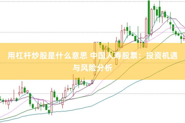 用杠杆炒股是什么意思 中国人寿股票：投资机遇与风险分析