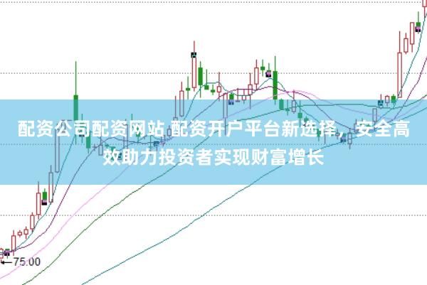 配资公司配资网站 配资开户平台新选择，安全高效助力投资者实现财富增长