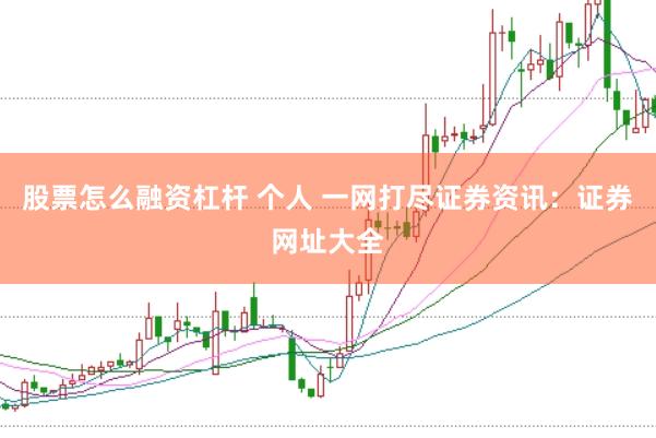 股票怎么融资杠杆 个人 一网打尽证券资讯：证券网址大全