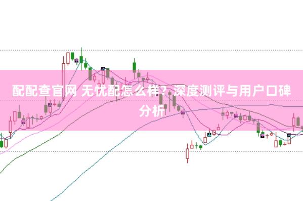 配配查官网 无忧配怎么样？深度测评与用户口碑分析