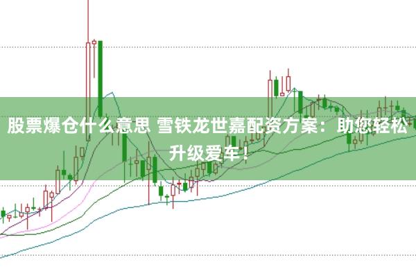 股票爆仓什么意思 雪铁龙世嘉配资方案：助您轻松升级爱车！