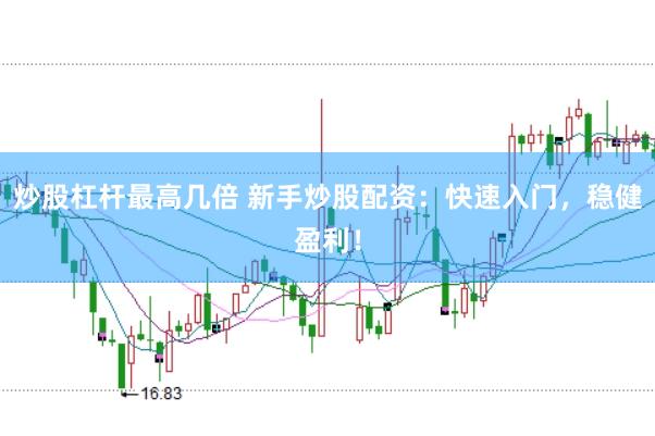 炒股杠杆最高几倍 新手炒股配资：快速入门，稳健盈利！