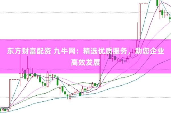 东方财富配资 九牛网：精选优质服务，助您企业高效发展