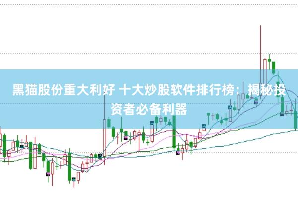 黑猫股份重大利好 十大炒股软件排行榜：揭秘投资者必备利器