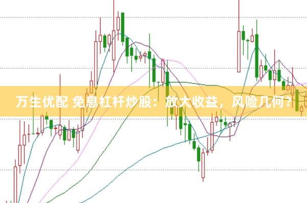 万生优配 免息杠杆炒股：放大收益，风险几何？