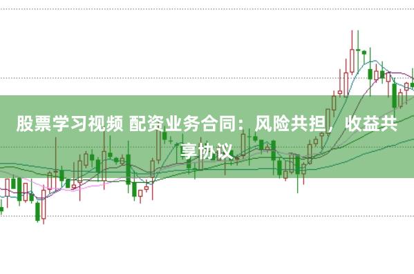 股票学习视频 配资业务合同：风险共担，收益共享协议