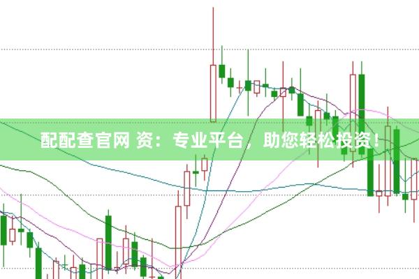 配配查官网 资：专业平台，助您轻松投资！