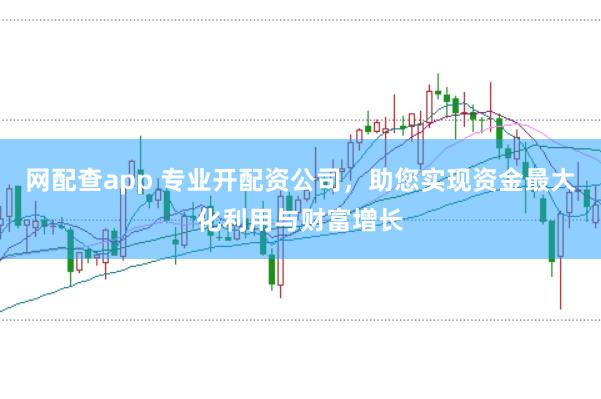 网配查app 专业开配资公司，助您实现资金最大化利用与财富增长