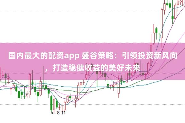 国内最大的配资app 盛谷策略:引领投资新风向,打造稳健收益的美好未来